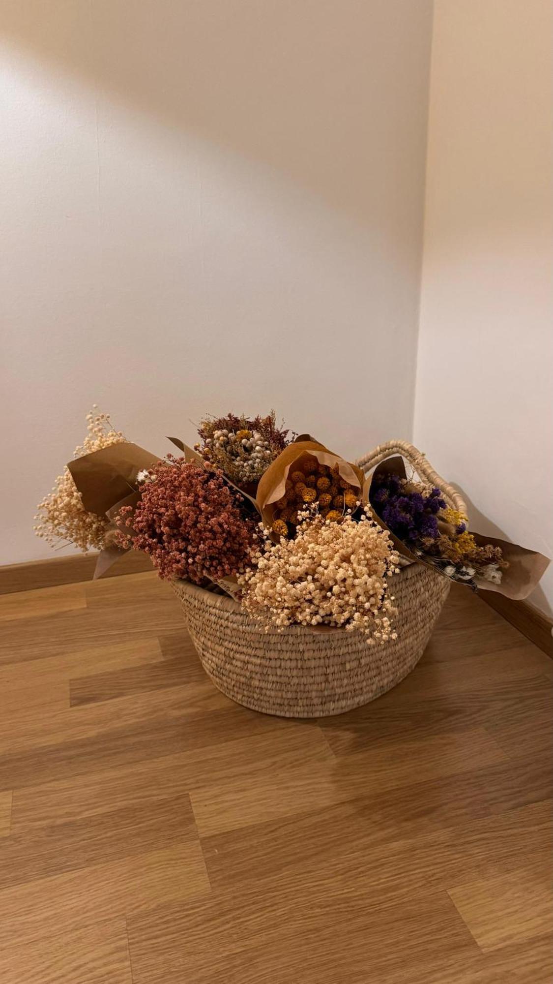 Laus Via Niccolo Putignani Cozy Apartment 巴里 外观 照片